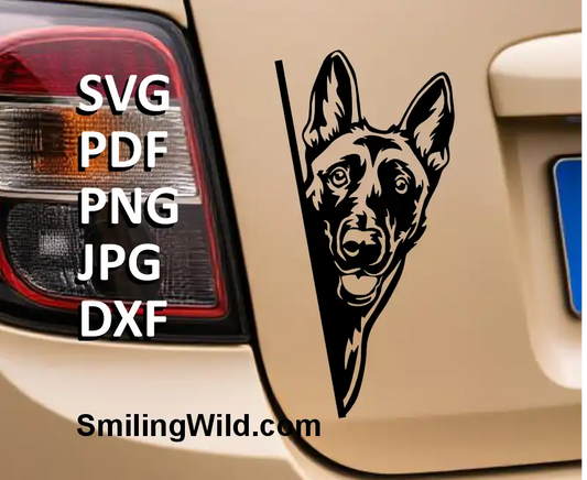 Malinois Dog SVG, PNG, DXF black clipart, Belgian Shepherd head looking around corner mockup for car window decal, Cricut, laser cutting, working dog decor