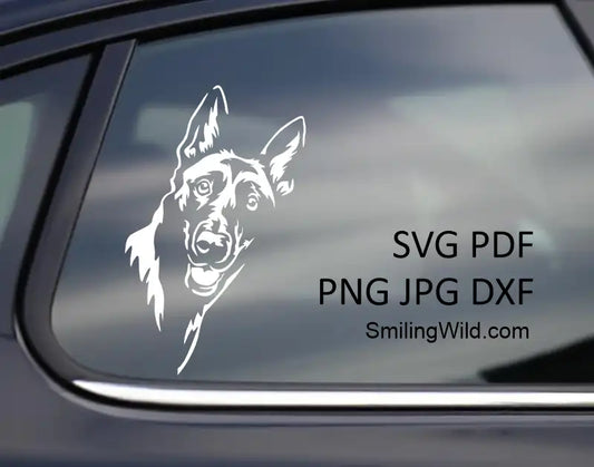 Belgian shepherd - Malinois SVG, PNG, DXF white vector clipart, of a peeking dog head on a mockup for car window decal, Cricut, laser cutting, cute dog decor
