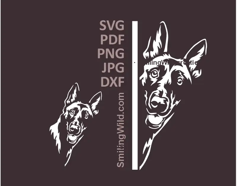 Malinois Dog SVG, PNG, DXF white vector clipart, Belgian Shepherd corner peeking head vector preview for Cricut, laser cutting, cute dog graphic crafts