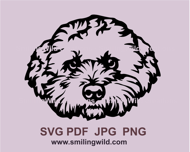 maltipoo face made in svg digital design style