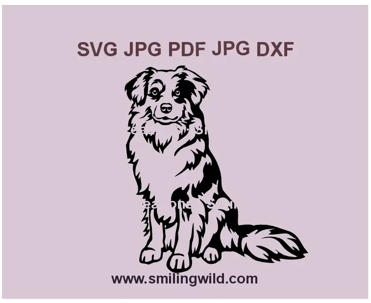Sitting Miniature australian shepherd or Aussie SVG, png, dxf vector clipart in black, perfect for cutting and engraving projects