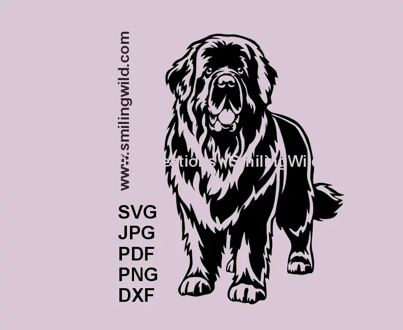 Full-body black Newfoundland dog clipart in SVG, PNG, and DXF formats – standing pose vector design for Cricut and laser cutting