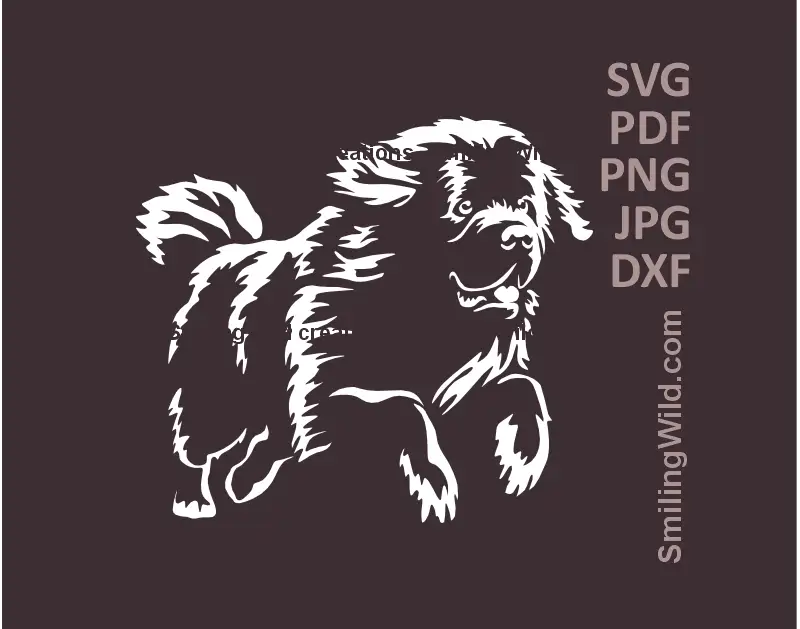 Newfoundland Dog SVG, DXF, PNG white clipart, running full body preview for Cricut, laser engraving, pastoral canine crafts