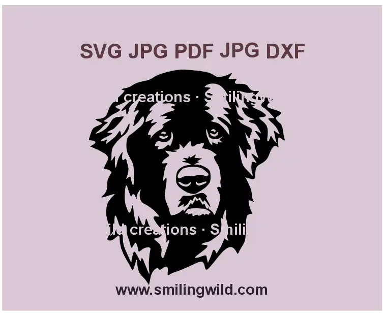 Newfoundland dog SVG, PNG & DXF vector clipart portrait for Cricut and laser cutting
