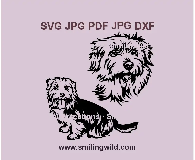 Norfolk Terrier dog SVG, PNG & DXF clipart for Cricut and laser cutting - full body and head