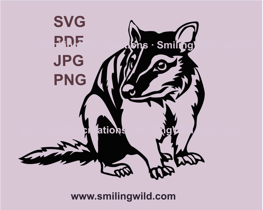 Sitting numbat graphic design in black color and transparent parts