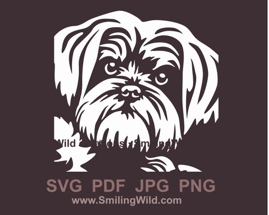 Maltese dog svg cuttable vector graphic clip art,white vector portrait