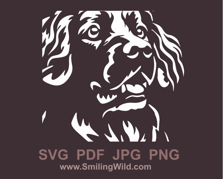 Stabyhoun dog face svg clip art portrait, hunting dog white vector graphic file