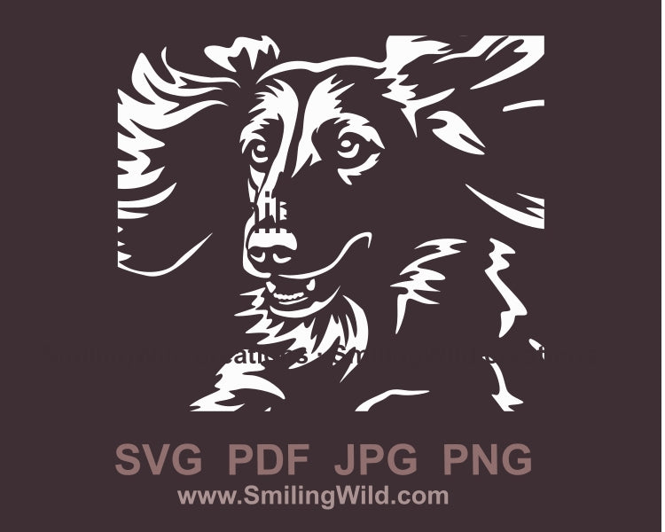 Jumping Long haired dachshund svg vector file, white design, dog agility svg