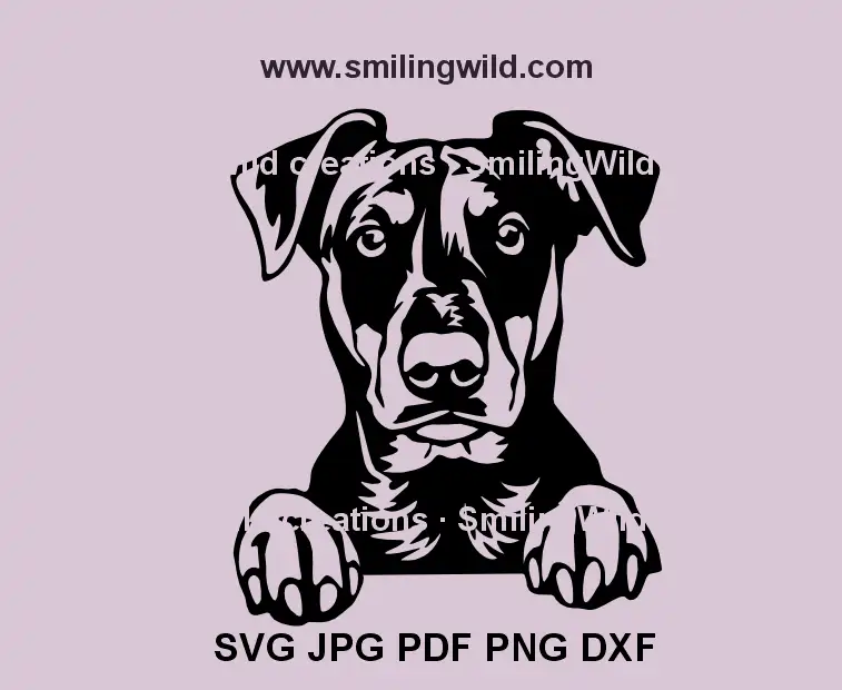 Peeking German Pinscher SVG vector with black dog design for Cricut and Glowforge