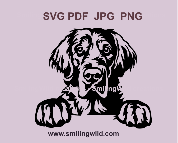 peeking golden retriever svg vector clip art design with paws on the table