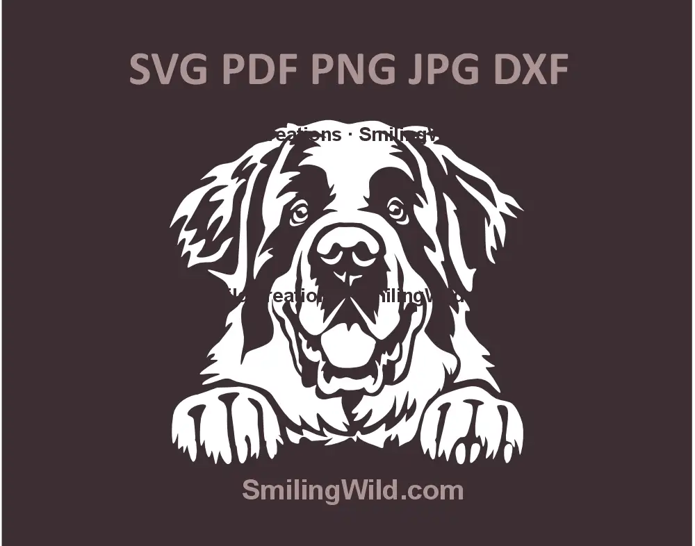 Saint Bernard face vector clipart for Cricut and laser cutting - SVG PNG DXF