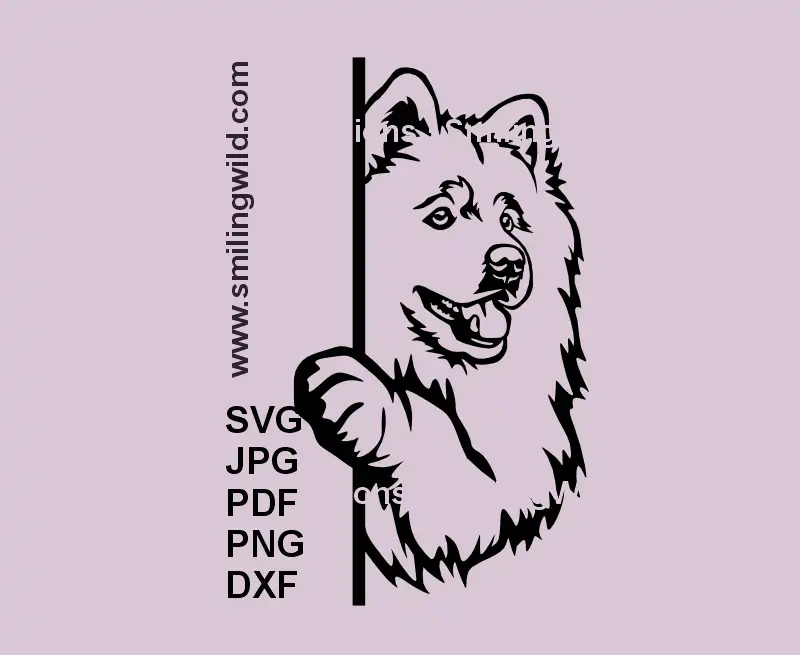 Black line Samoyed dog peeking over edge – corner svg vector design for Cricut, laser cutting, and vinyl crafts
