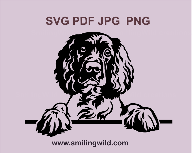 a svg clip art design showing a peeking springer spaniel with his paws on a table