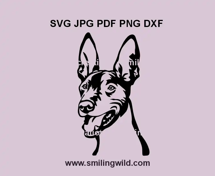Pharaoh Hound head portrait SVG, PNG, and DXF for Cricut, Silhouette, and laser cutting