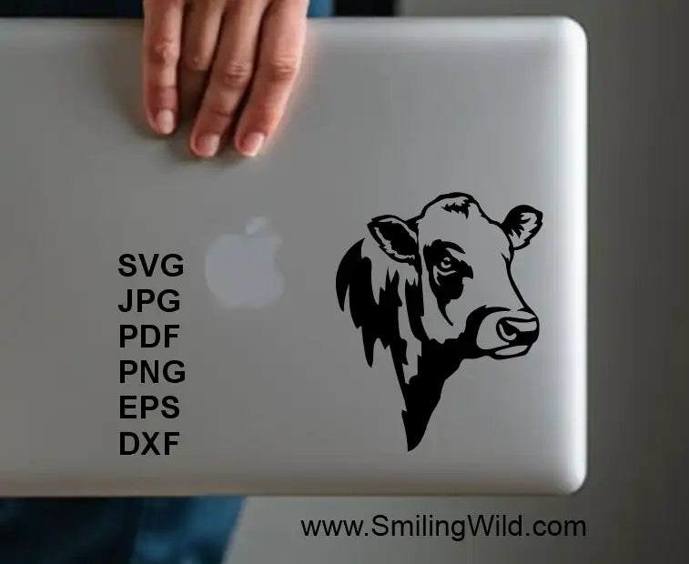 Piedmontese bull laptop cover décor SVG PNG file for laser engraving and Cricut