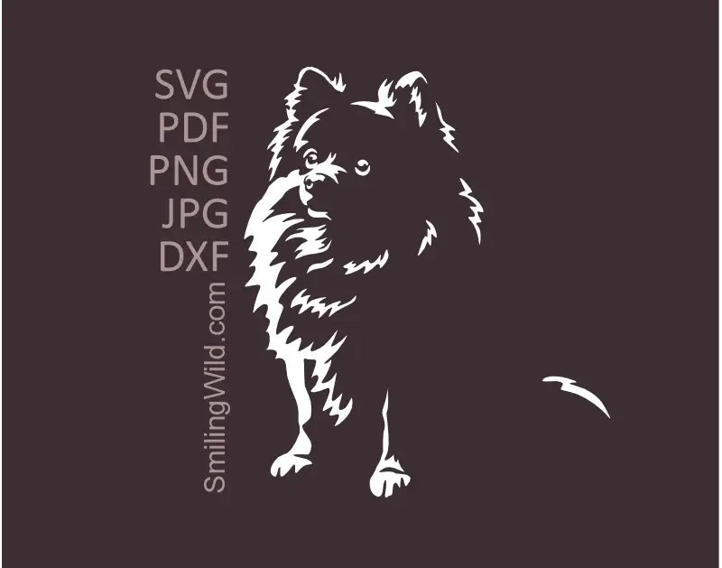Pomeranian Spitz SVG White Vector Clipart for dark surfaces. Spitz dog graphic optimized for Cricut cutting.