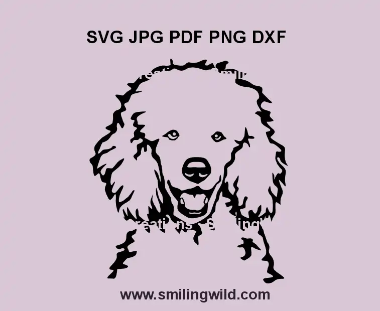 Black Poodle dog face SVG – curly vector for Cricut and crafts
