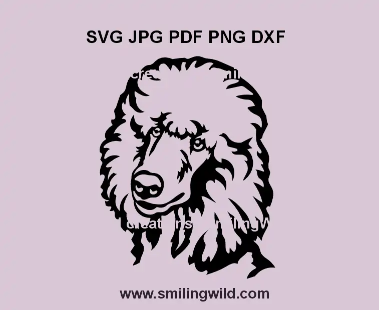 Poodle head SVG black vector portrait – perfect for Cricut crafts and vinyl decals