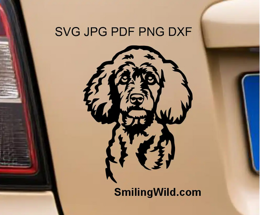 Custom line art drawing of a Poodle head with a clean transparent background in PNG graphic format for cutting and presented as a car sticker.