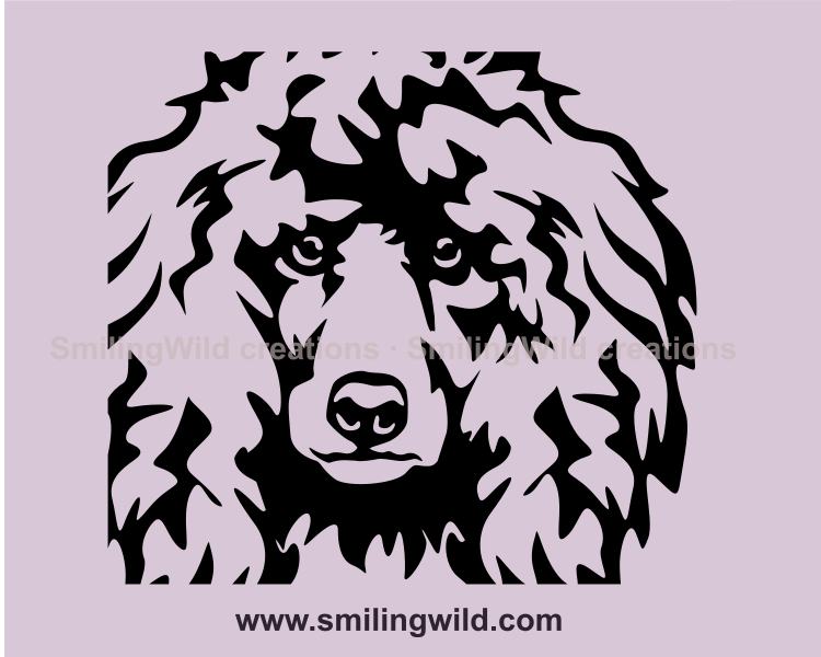 poodle vector graphic design illustration