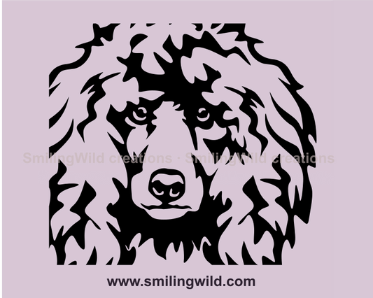 poodle vector graphic design illustration