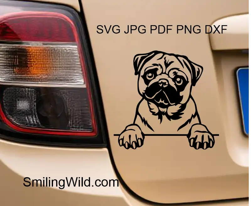 a car sticker representing a peeking Pug face vector file digital clipart design for craft and cutting projects