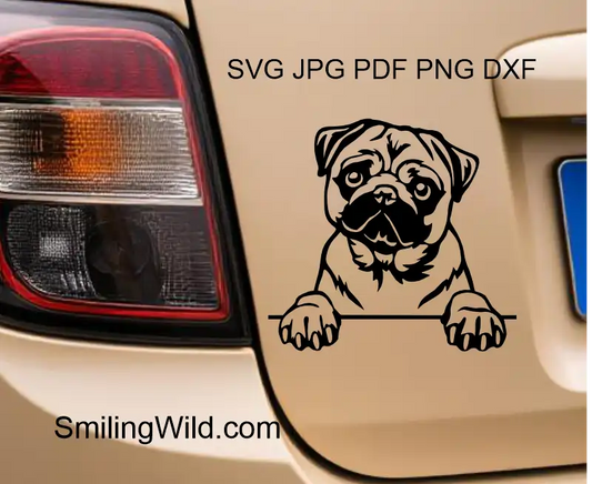 a car sticker representing a peeking Pug face vector file digital clipart design for craft and cutting projects