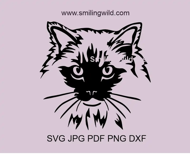 Black Ragdoll cat head SVG, PNG, DXF file – vector clipart for Cricut and laser cutting