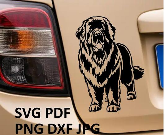 Detailed standing Newfoundland dog vector graphic – black svg cuttable file for pet-themed crafts and engraving projects.