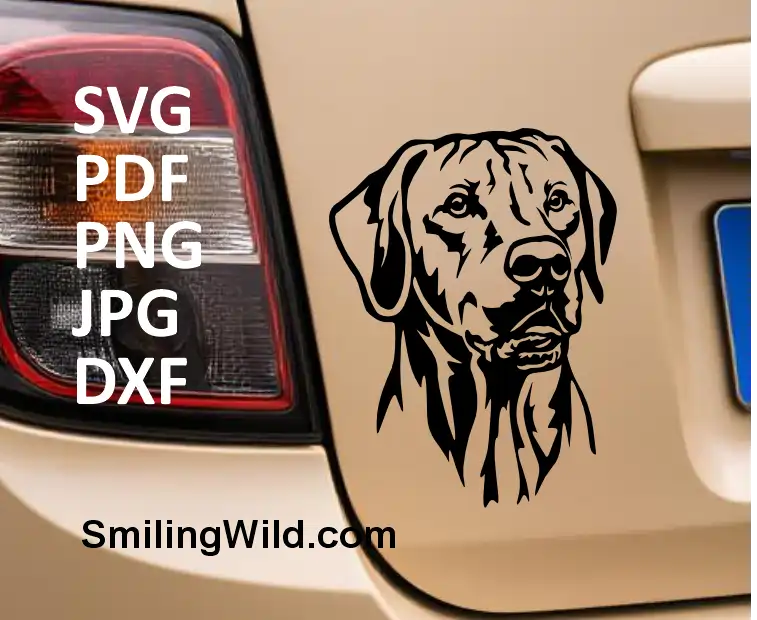 Realistic Ridgeback dog SVG head design – pedigree vector file for Cricut and silhouette use shown as a car decal in this preview image