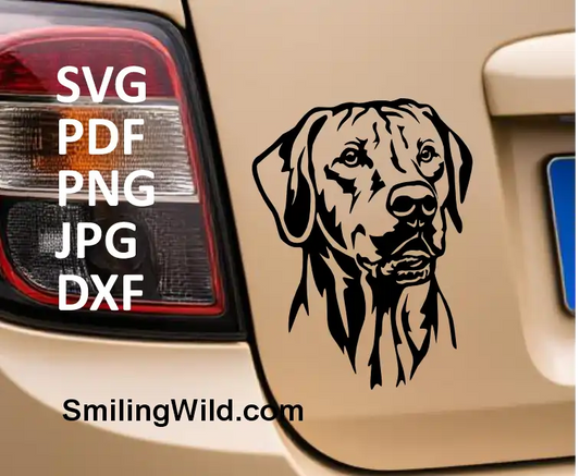 Realistic Ridgeback dog SVG head design – pedigree vector file for Cricut and silhouette use shown as a car decal in this preview image
