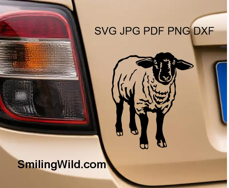A car sticker with a Realistic Suffolk sheep caturing farm animal expressions in vector design for engraving, vinyl cutting, and handmade projects