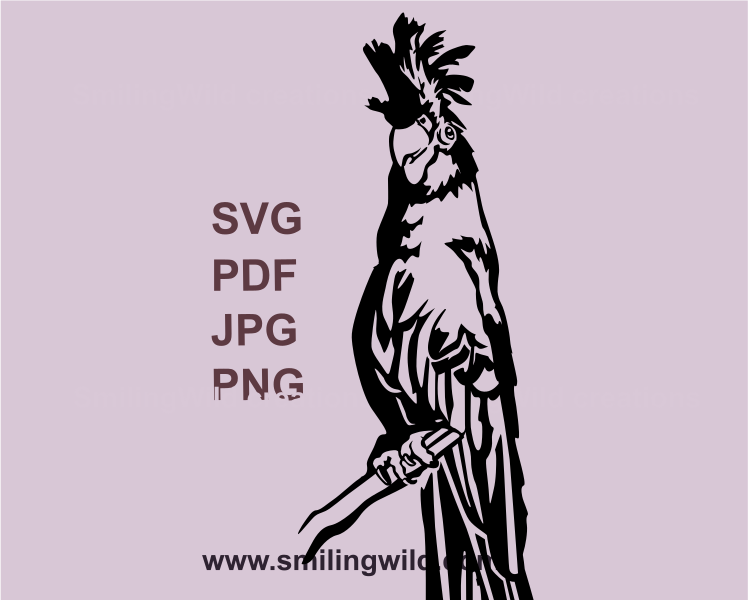 Australian red tailed black cockatoo svg design with transparent background