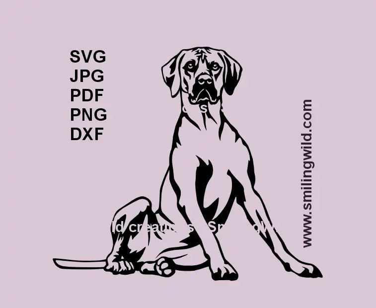 Rhodesian Ridgeback SVG full-body vector graphic for Cricut and laser cutting