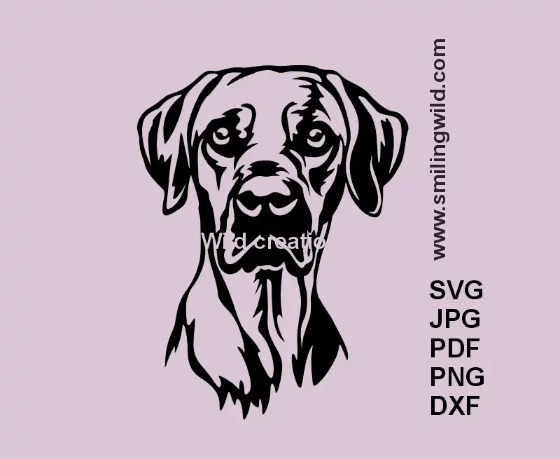 Rhodesian Ridgeback head portrait vector clipart for Cricut, laser cutting, engraving and DIY crafts – DXF PNG SVG file