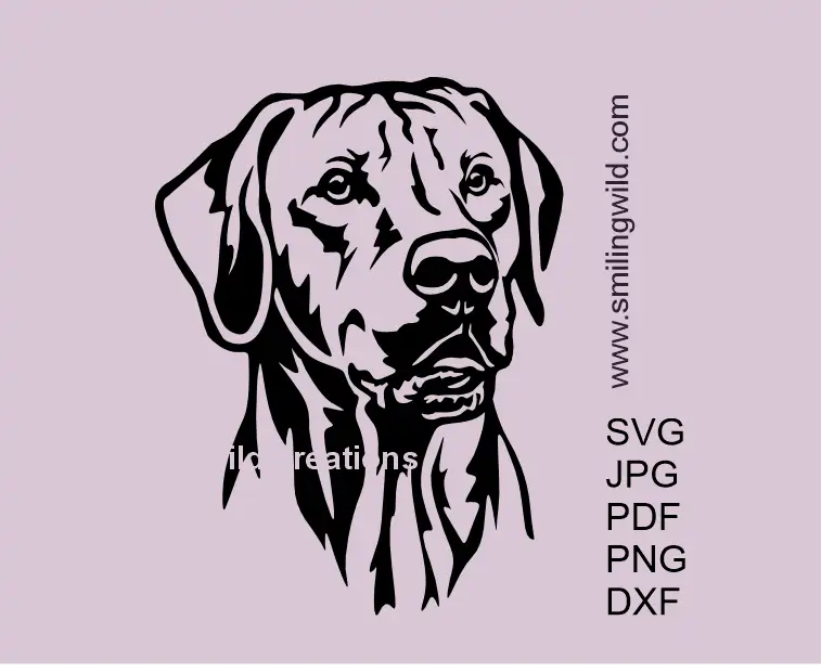 Rhodesian Ridgeback SVG PNG DXF – vector dog head clipart for Cricut and laser cutting crafts