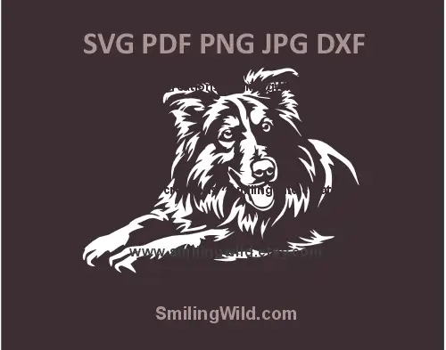 Rough Collie SVG and PNG clipart – Smiling dog vector for Cricut and engraving projects