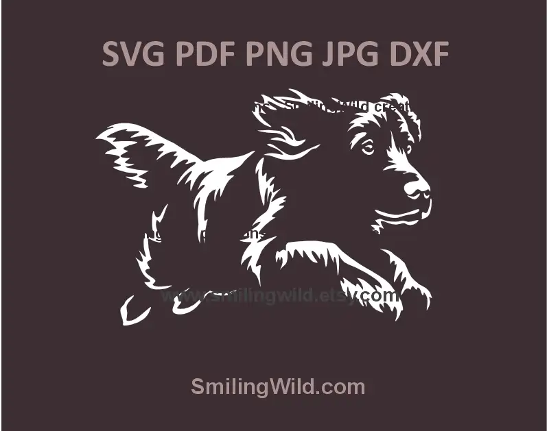 running hunting dog boykin spaniel in svg, png and dxf file for cricut and laser cutting and engraving