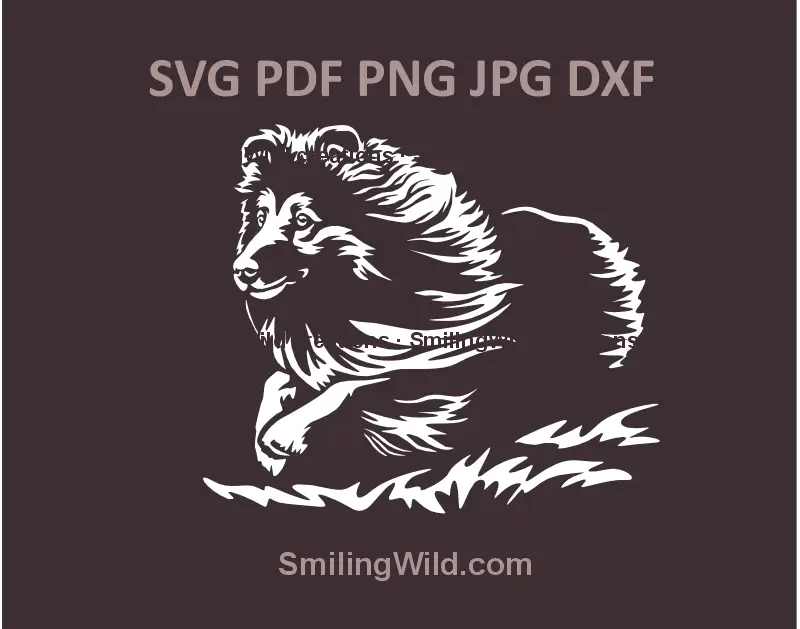 White Sheltie vector design in SVG, PNG, DXF formats – running Shetland Sheepdog clipart for laser cutting and engraving