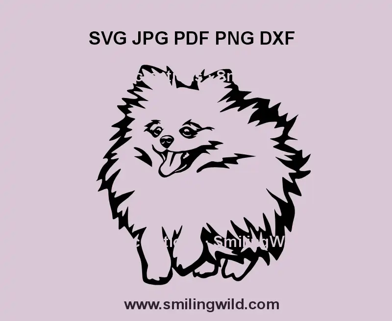Running black Pomeranian Spitz dog SVG – fluffy vector for crafts and decor