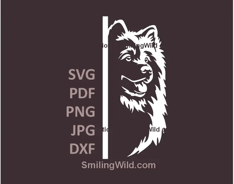 White SVG vector graphic clipart of a Samoyed dog peeking around a corner – ideal for Cricut crafts and pet-themed wall decals
