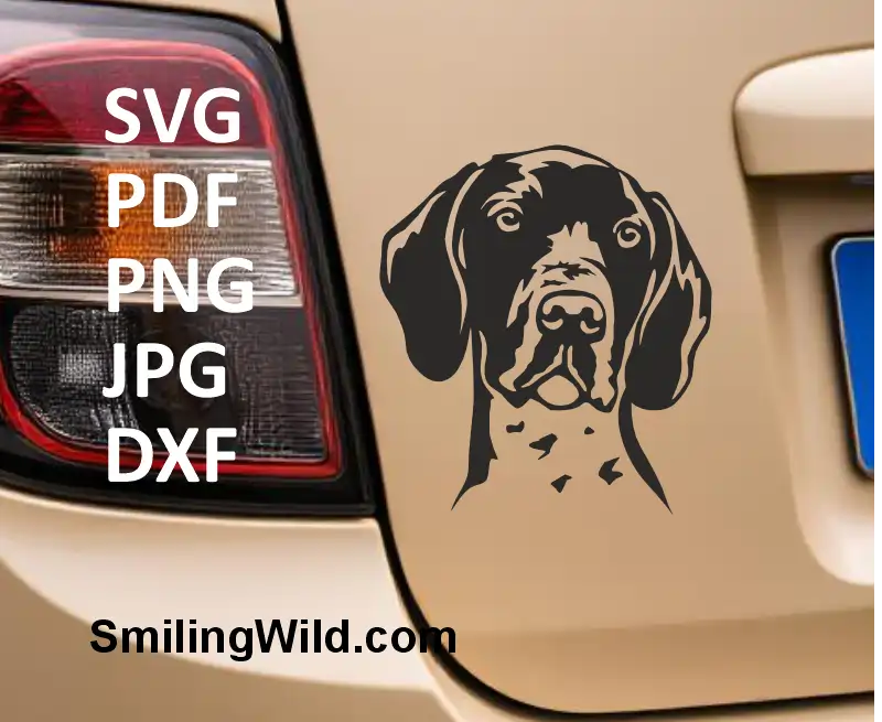 Pedigree German Shorthaired Pointer clipart – black silhouette cut file for digital crafting and engraving on a mocup image of a car sticker
