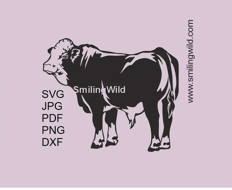 Simmental bull SVG PNG DXF full body cattle vector clipart for Cricut crafts and laser cutting design