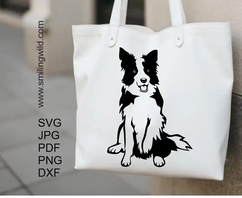 Sitting Border Collie vector graphic SVG PNG DXF digital design for Cricut projects