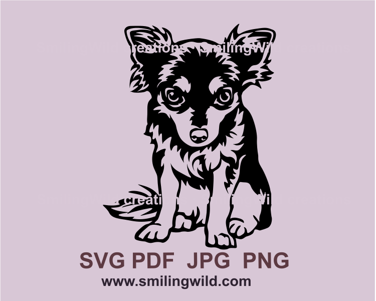 sititng chihuahua digital clip art application
