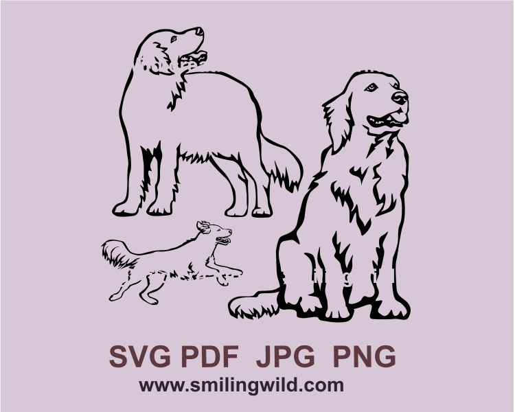 standing, sitting and running golden retriever graphic drawings in svg art