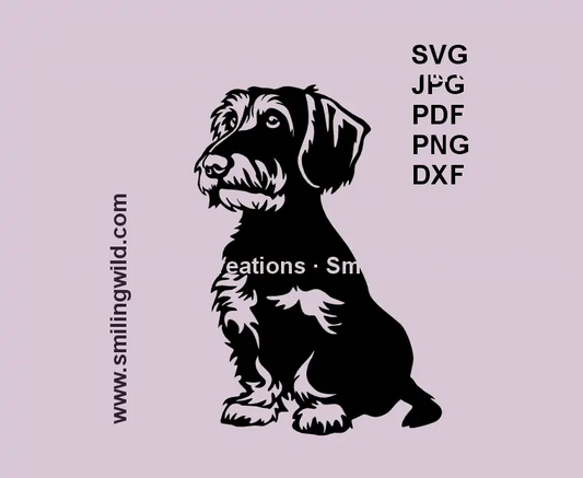 Sitting Wirehaired Dachshund SVG – realistic Dackel clipart for Cricut and Silhouette
