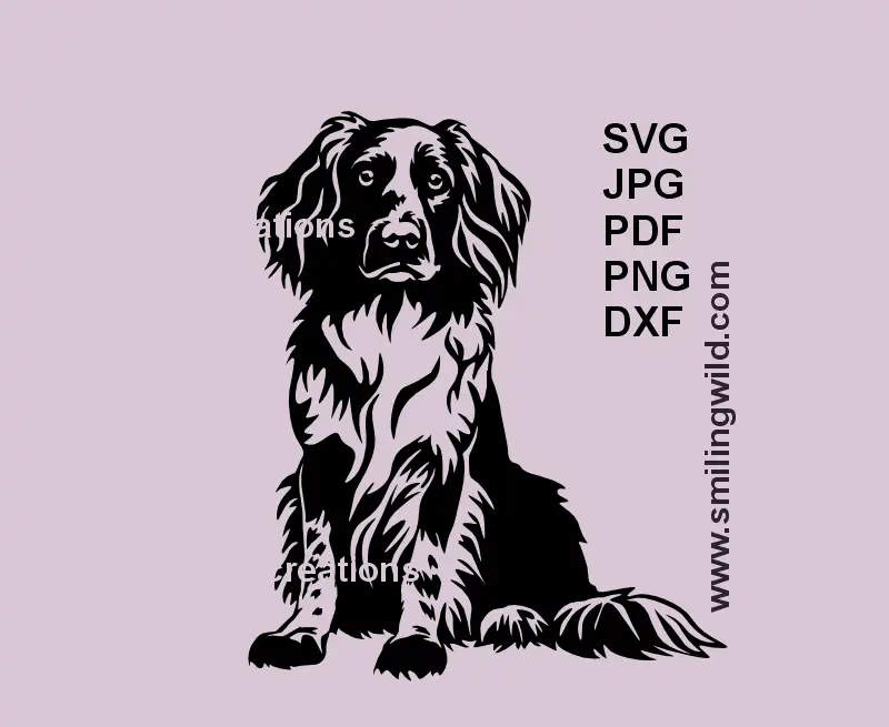 Black SVG vector of sitting Small Munsterlander – gun dog digital design for Cricut and laser cutting machines