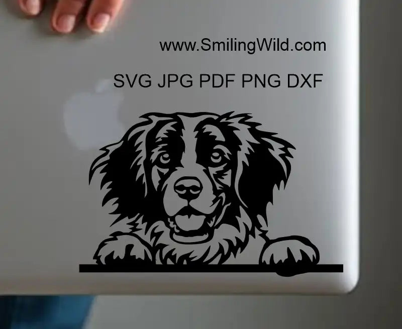 A smiling dog face of a peeking brittany presenting a hunting dog svg and dxf files for cricut and laser cutting